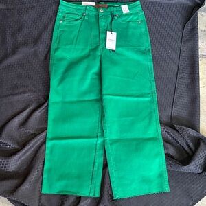 Judy Blue Vibrant Green Flare Jeans